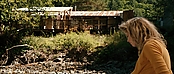 theriverwhy20001.jpg