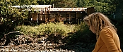 theriverwhy20002.jpg