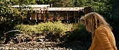 theriverwhy20003.jpg