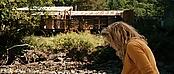 theriverwhy20022.jpg