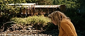 theriverwhy20024.jpg