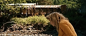 theriverwhy20026.jpg