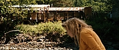 theriverwhy20027.jpg