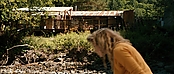 theriverwhy20028.jpg