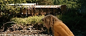 theriverwhy20029.jpg