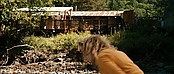 theriverwhy20031.jpg