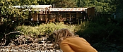 theriverwhy20033.jpg
