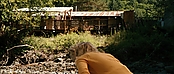 theriverwhy20036.jpg