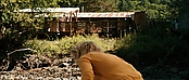 theriverwhy20038.jpg