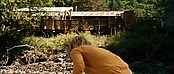 theriverwhy20039.jpg