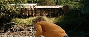 theriverwhy20040.jpg