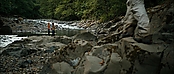 theriverwhy20103.jpg