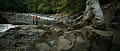 theriverwhy20104.jpg