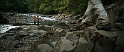 theriverwhy20106.jpg