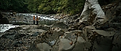 theriverwhy20107.jpg