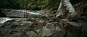 theriverwhy20108.jpg