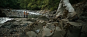 theriverwhy20109.jpg