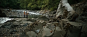 theriverwhy20110.jpg
