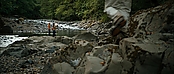 theriverwhy20115.jpg