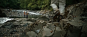 theriverwhy20116.jpg