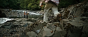 theriverwhy20125.jpg