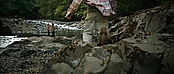 theriverwhy20128.jpg