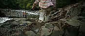 theriverwhy20132.jpg