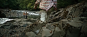 theriverwhy20133.jpg
