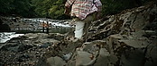 theriverwhy20135.jpg