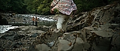 theriverwhy20137.jpg