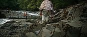 theriverwhy20143.jpg