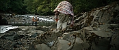 theriverwhy20145.jpg