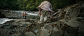 theriverwhy20146.jpg