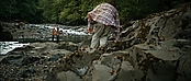 theriverwhy20147.jpg