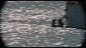 therumdiary02203.jpg