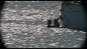 therumdiary02204.jpg