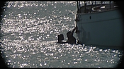 therumdiary02209.jpg