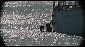 therumdiary02210.jpg