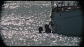 therumdiary02212.jpg