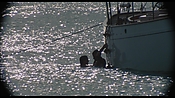 therumdiary02213.jpg