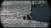 therumdiary02214.jpg
