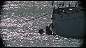 therumdiary02215.jpg