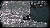 therumdiary02219.jpg