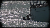 therumdiary02220.jpg