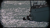 therumdiary02229.jpg