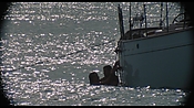 therumdiary02242.jpg