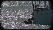 therumdiary02244.jpg
