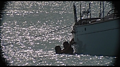 therumdiary02245.jpg