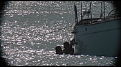 therumdiary02246.jpg