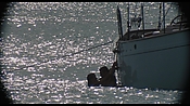 therumdiary02248.jpg